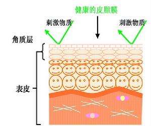 皮肤过敏常见的症状和原因