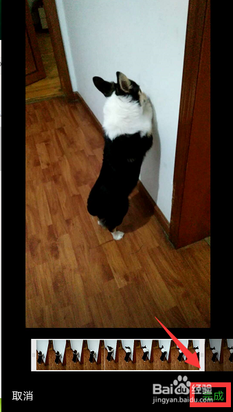 微信朋友圈如何发布自己或朋友拍摄的视频？