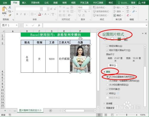 excel中如何设置图片随单元格改变大小