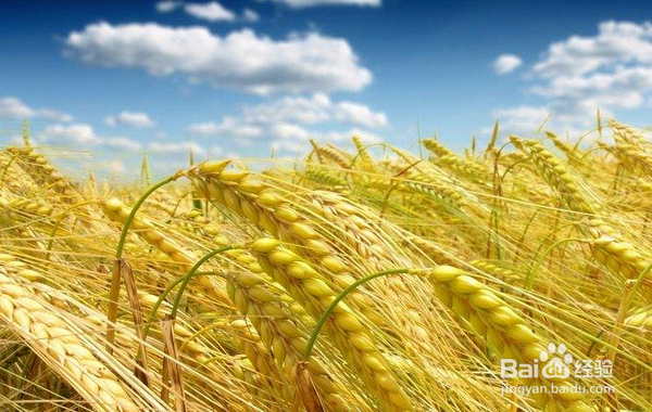 为什么我要坚持写百度经验？