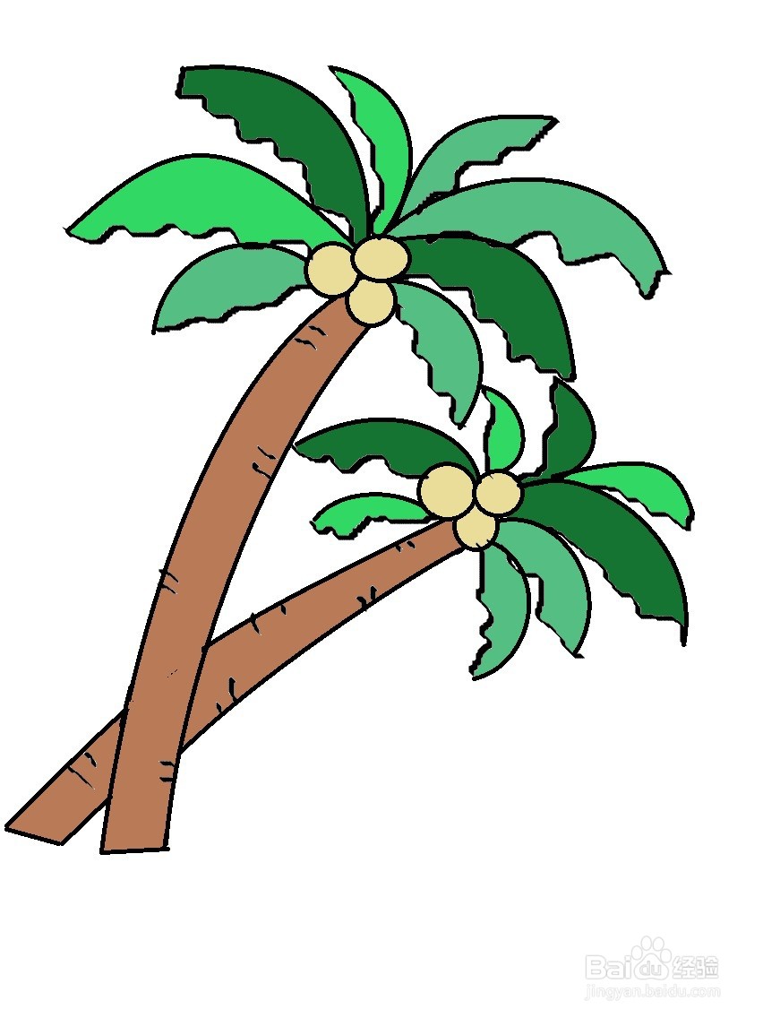 手绘椰子树线稿图片