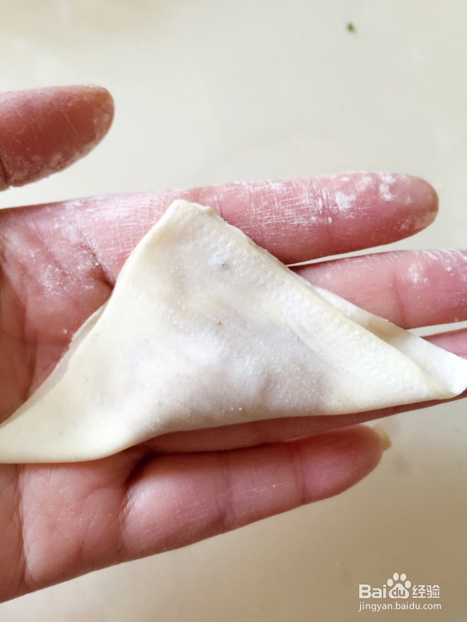 宝宝也爱吃的牛肉芹菜虾皮馄饨