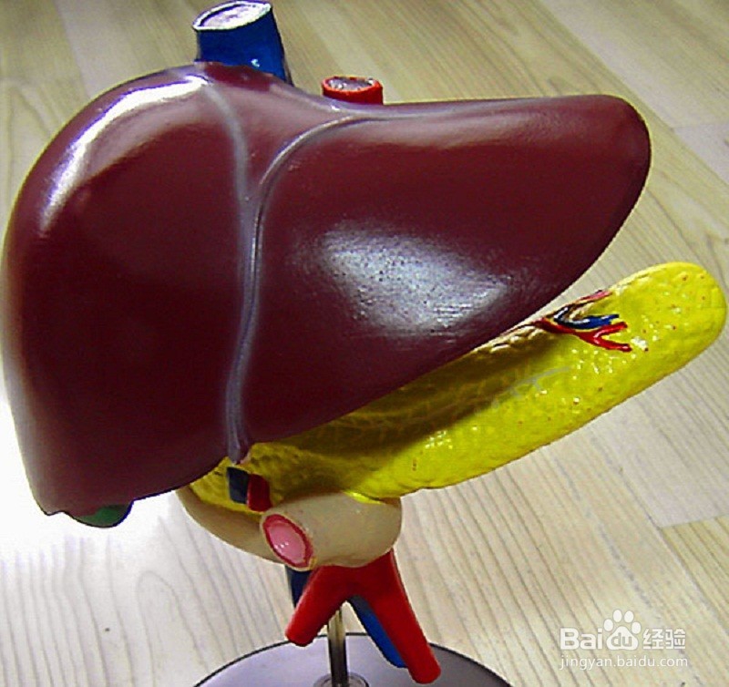 转氨酶升高的原因？