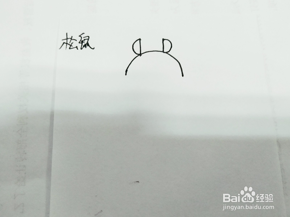 卡通可爱的小松鼠简笔画怎么画呢