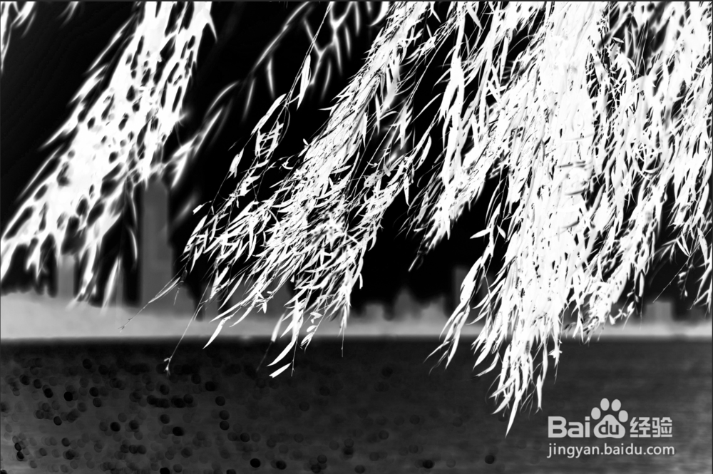 PS通道抠图杂乱的树叶