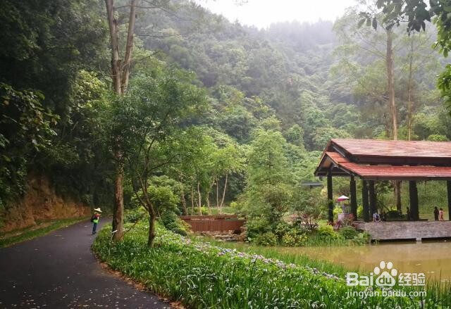 高峰森林公园有什么好玩的