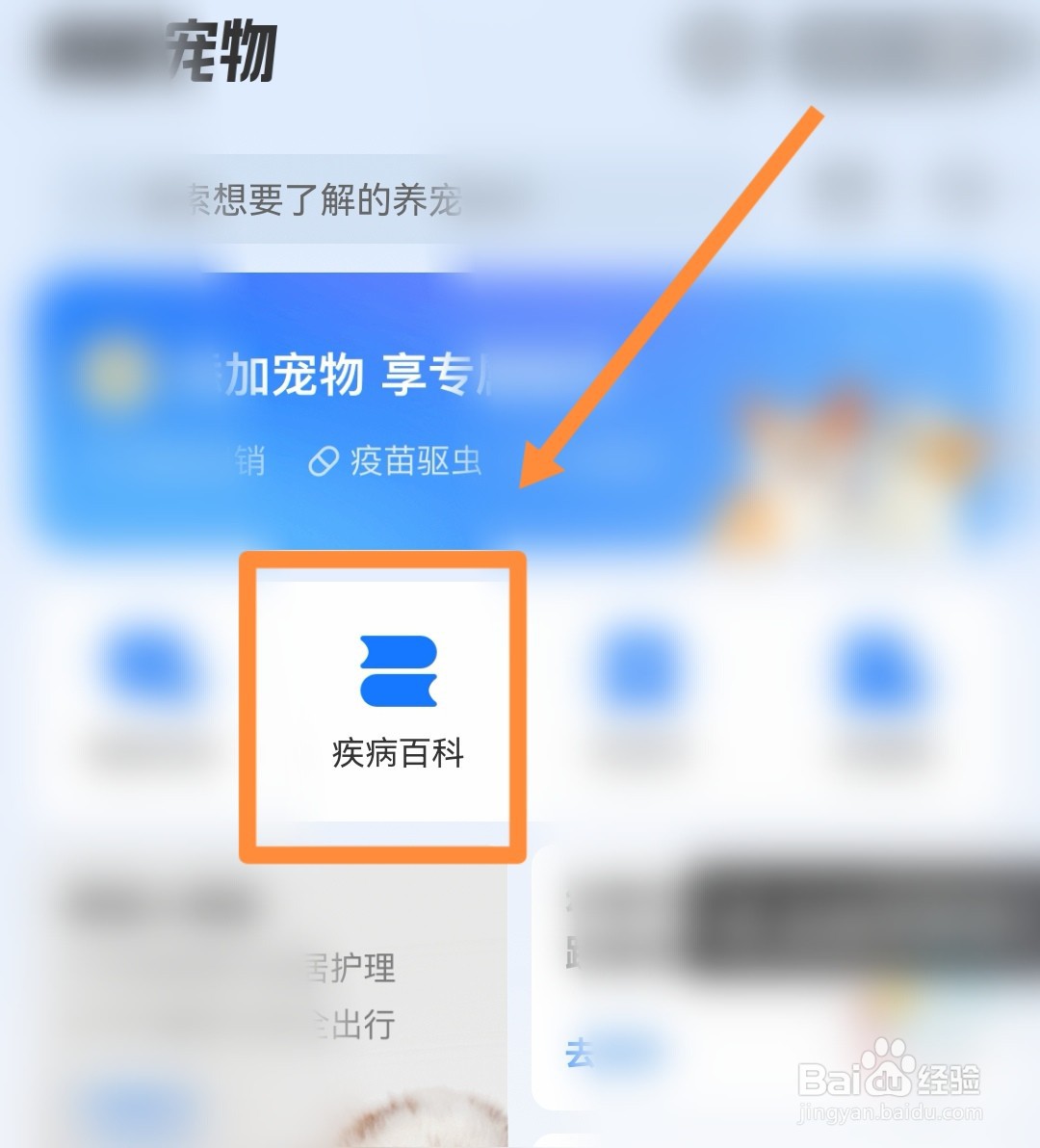 幼猫猫藓怎么处理