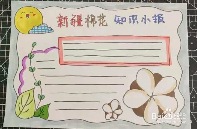 新疆棉花知识小报怎么画