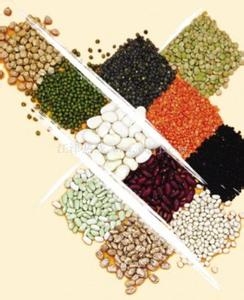 预防习惯性便秘