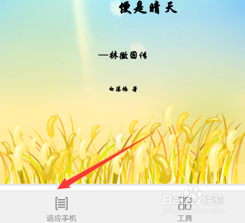 手机打开PDF文件字太小看不清怎么办