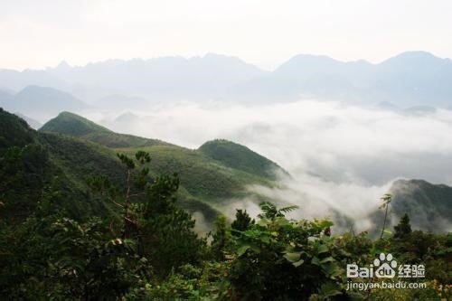 万源八台山冬季旅游攻略