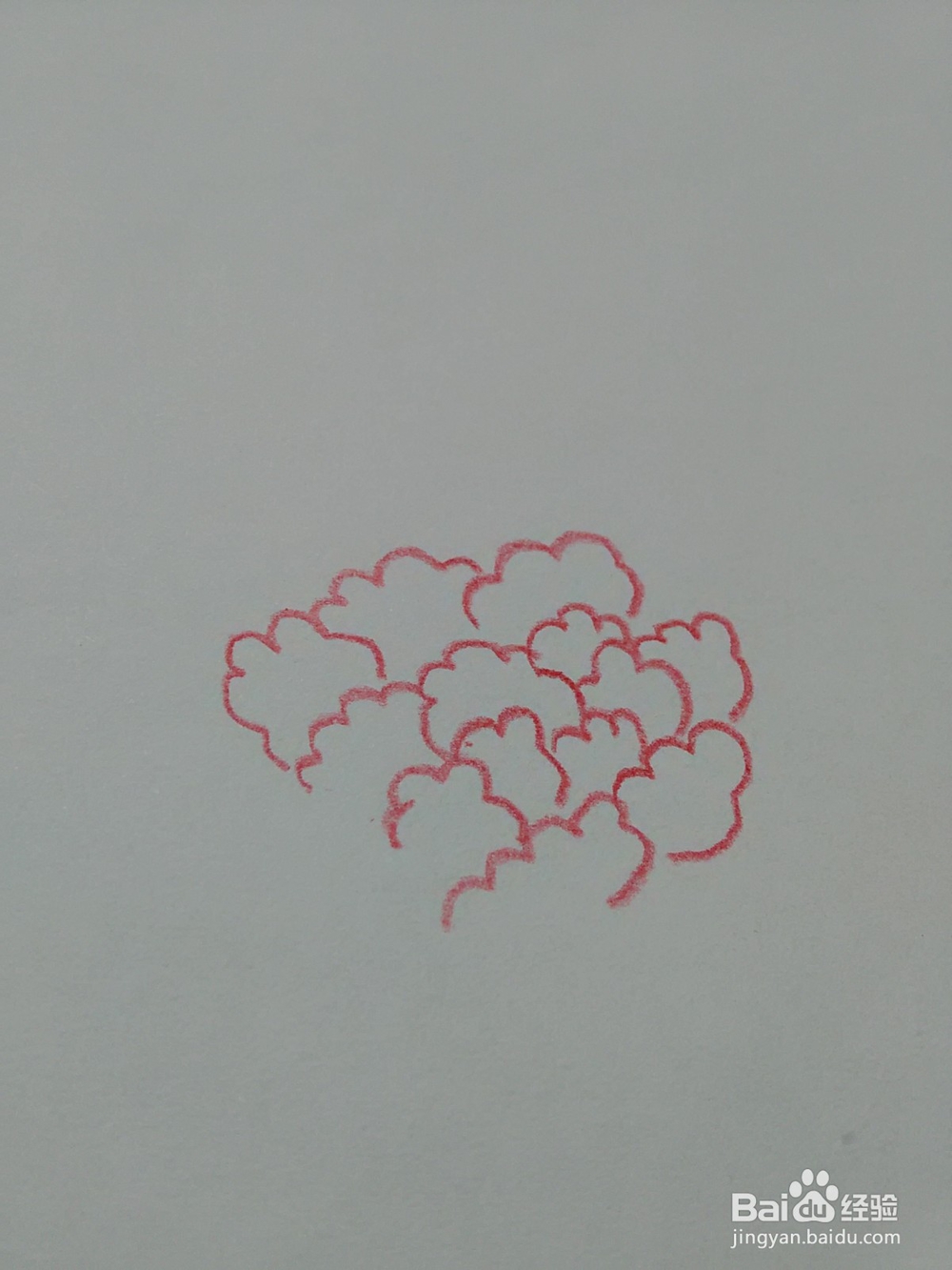 怎么能画好牡丹