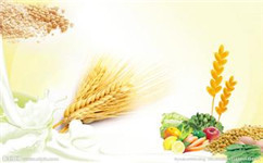 癫痫病的饮食保健办法