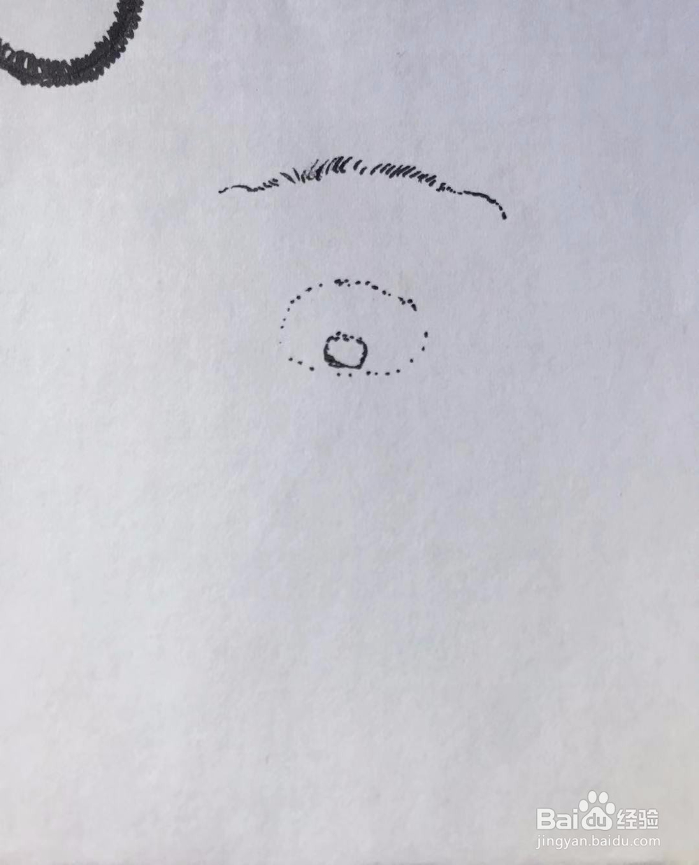 茉莉蜡笔手绘之小泰迪犬