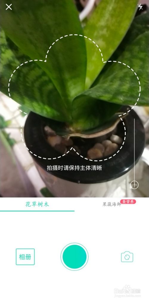 怎么自动识别花草