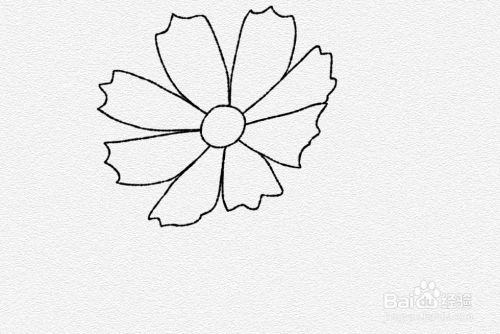 二年级七色花的简笔画方法 百度经验