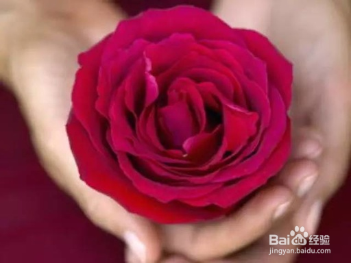 湿疣的变化过程