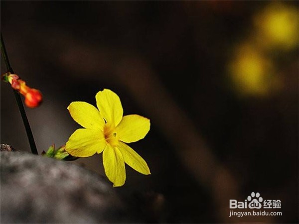 如何化解生活中的尴尬