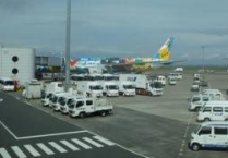 早上暴走减肥效果好吗