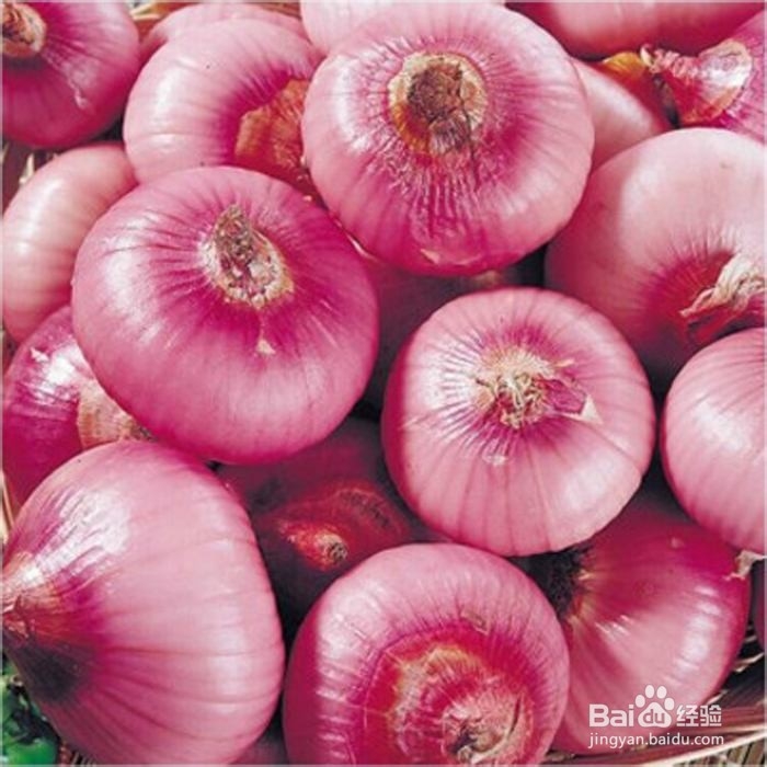 如何烹饪美味的牛肉丝炒蛋面？