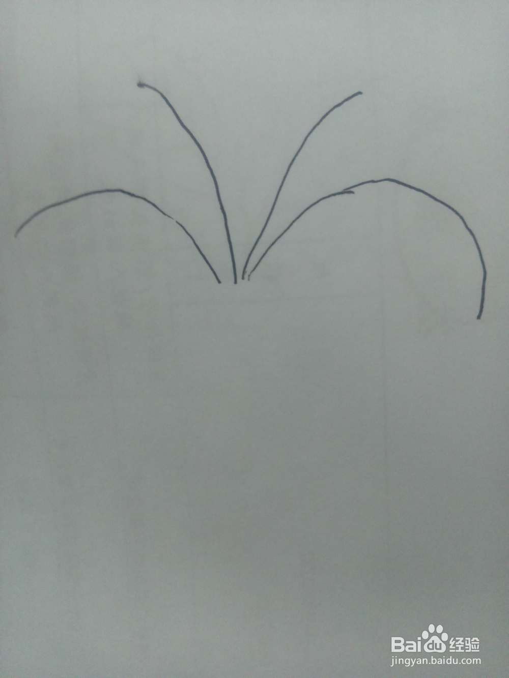 如何绘制简单的热带树