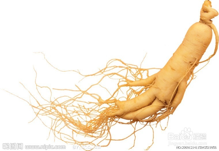 见女友父母送什么比较礼物？