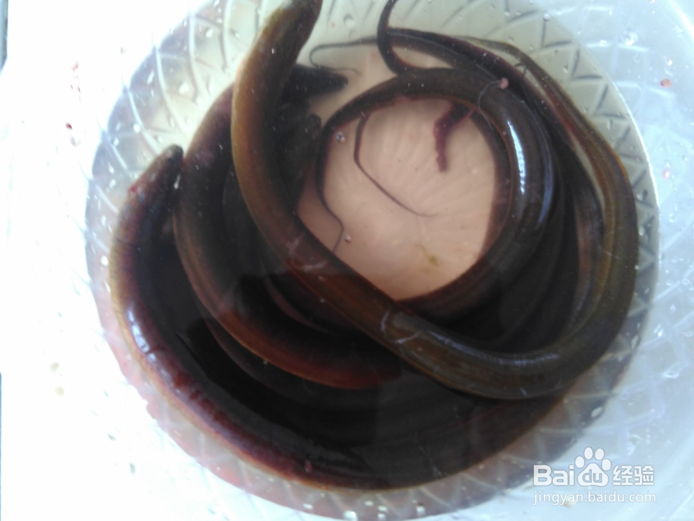 尖椒丝爆黄鳝的做法