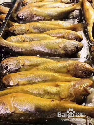清炖黄花鱼汤的做法