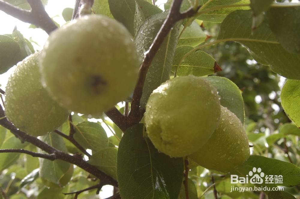 秋季的几个生活小常识