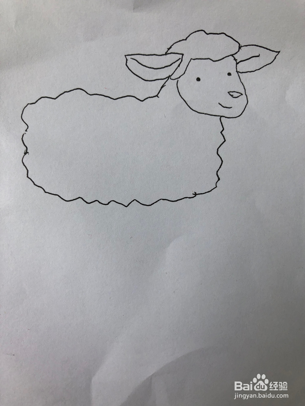 小羊的简笔画