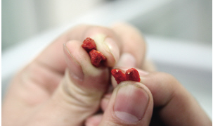 怎么挑选上好的枸杞