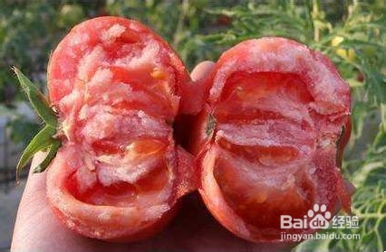 如何改善自己的体质让蚊虫远离