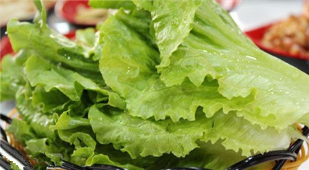 过量吃生菜有害