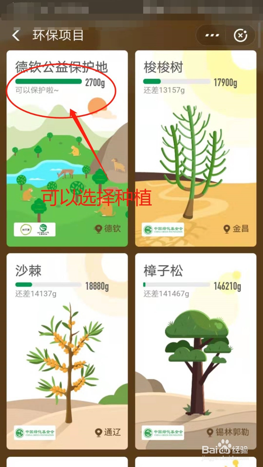 支付宝蚂蚁森林怎么种树呢？