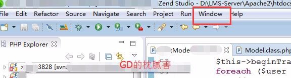 Zend Studio如何显示当前文件的函数