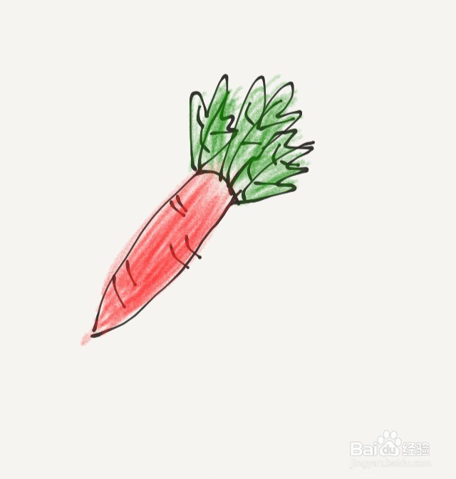 <b>涂鸦系列之如何画色彩胡萝卜</b>