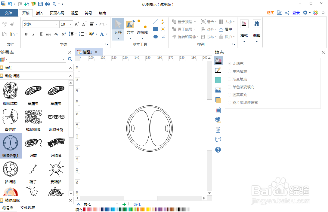 在亿图图示中创建细胞分裂图