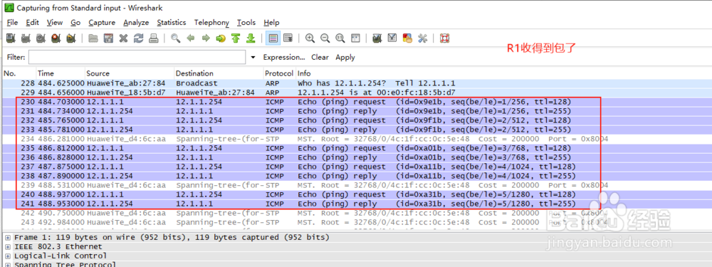 单臂路由怎么排错?