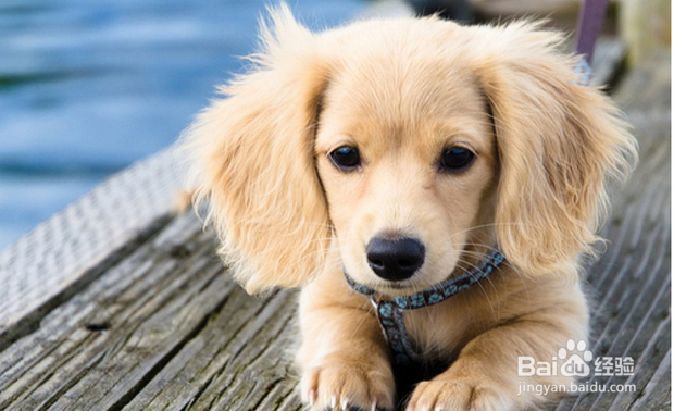 乘坐高铁的注意事项