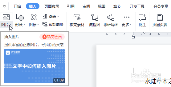 WPS怎么快速插入本地图片