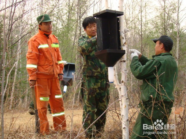 如何培养学生学习生物的各种能力