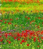 监理施工要点56