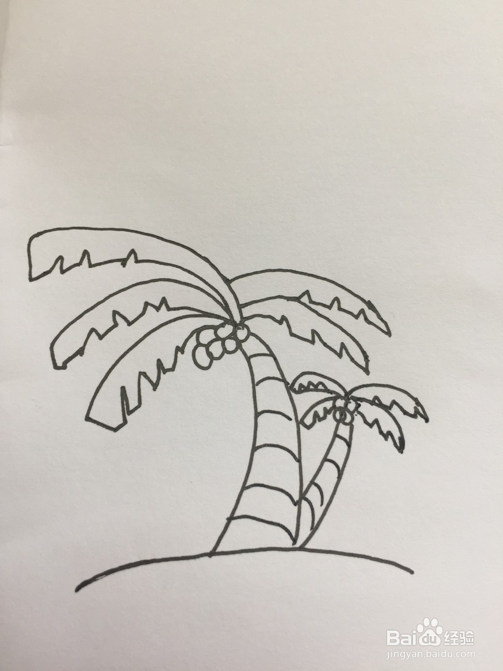 椰子树的简笔画