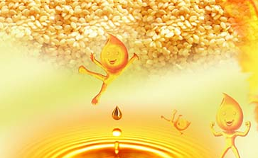 食用油的正确使用和购买？