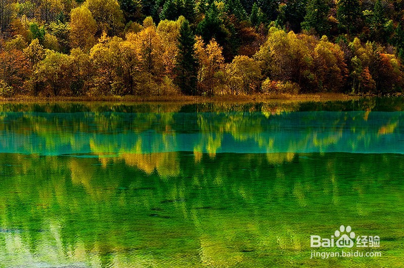 川西若尔盖花湖 川西7日摄影旅游 西北户外地接