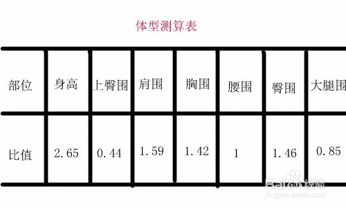 女性健美的标准