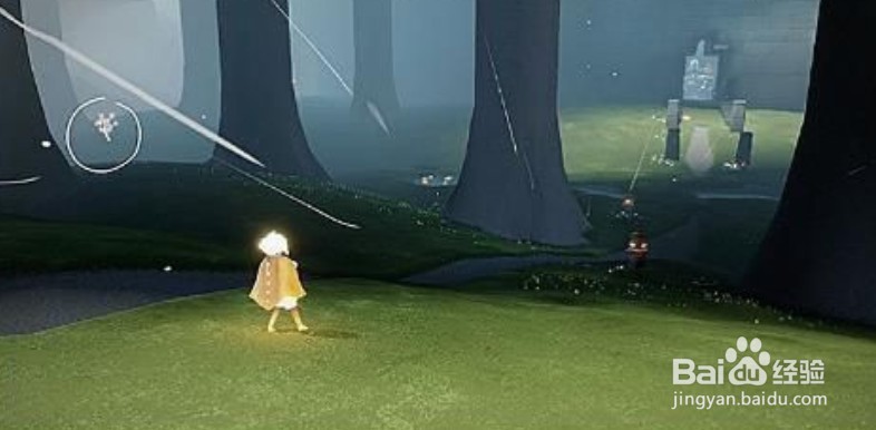 《光遇》雨林樱花树在哪