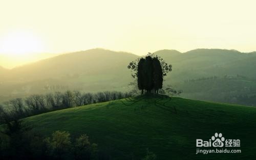 i4助手下载的壁纸怎么删除