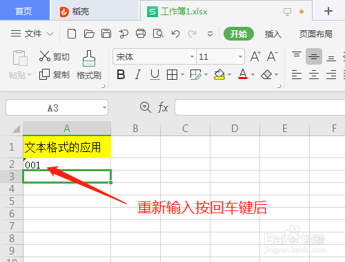 WPS2019 第十二课 电子表格的文本格式怎样应用