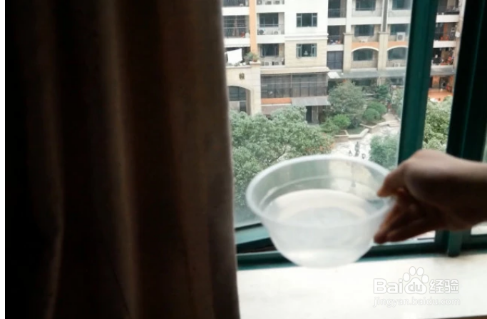 家里蚊子太多怎么办不妨试试这招!